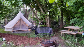 Glamping Zonnebloem - Back-to-Nature